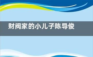 财阀家的小儿子陈导俊是那个的儿子