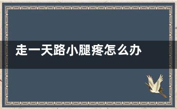 走一天路小腿疼怎么办,走路一天小腿酸疼怎么办