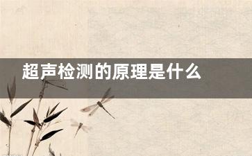 超声检测的原理是什么(超声检测的原理和方法)