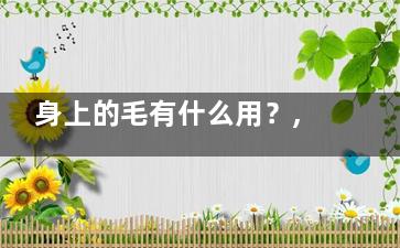 身上的毛有什么用？,身体上的毛是什么作用