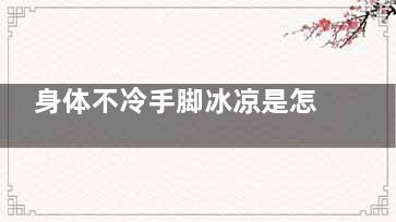 身体不冷手脚冰凉是怎么回事(身体不冷手脚冰凉怎么调理女人)