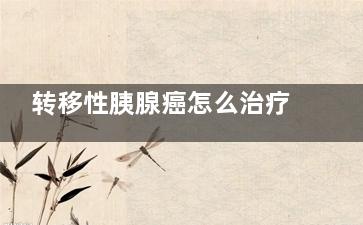 转移性胰腺癌怎么治疗？,转移性胰腺癌治疗综述