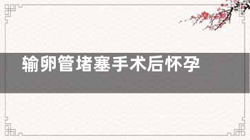 输卵管堵塞手术后怀孕的几率有多大(输卵管堵塞手术后多久可以怀孕)