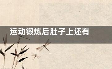 运动锻炼后肚子上还有赘肉原因在这