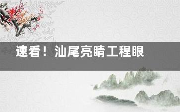 速看！汕尾亮睛工程眼科2025收费价目表，含白内障/近视/斜视/青光眼手术费用