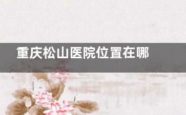 重庆松山医院位置在哪？位于星汇两江艺术商业中心北边，有无障碍通道需提前联系