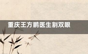 重庆王方鹏医生割双眼皮很棒!自然真实还美腻!收费合理预约挂号也很方便