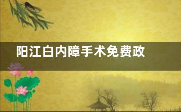 阳江白内障手术免费政策详解！2025年最新申请条件+流程，符合条件的千万别错过！