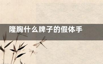 隆胸什么牌子的假体手感好？首推德国法芮娅或美国娜绮丽
