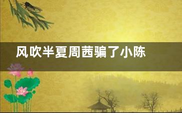 风吹半夏周茜骗了小陈什么