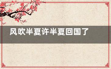 风吹半夏许半夏回国了吗