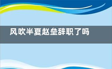 风吹半夏赵垒辞职了吗