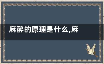 麻醉的原理是什么,麻醉的基本原理