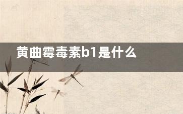 黄曲霉毒素b1是什么？(黄曲霉毒素B1的卫生标准)
