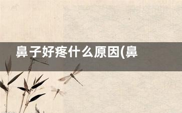 鼻子好疼什么原因(鼻子好好的疼什么原因)