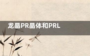 龙晶PR晶体和PRL哪个好？透氧性对比+术后并发症率实测数据这里看！
