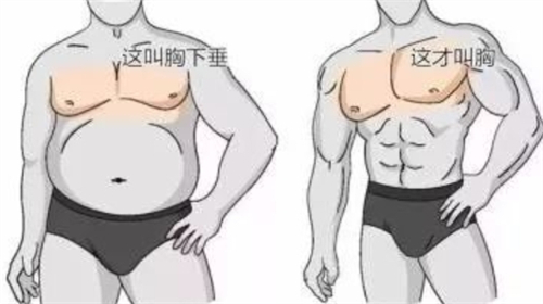 男性胸部对比