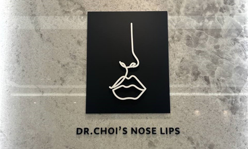 韩国崔宇植整形外科logo图展示