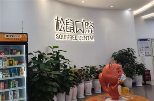 昆明松鼠口腔内部环境一角