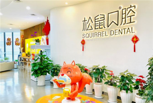 昆明松鼠口腔环境图示