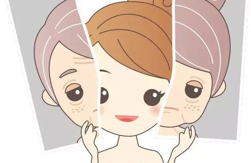 怀化宸美皮肤管理示意图