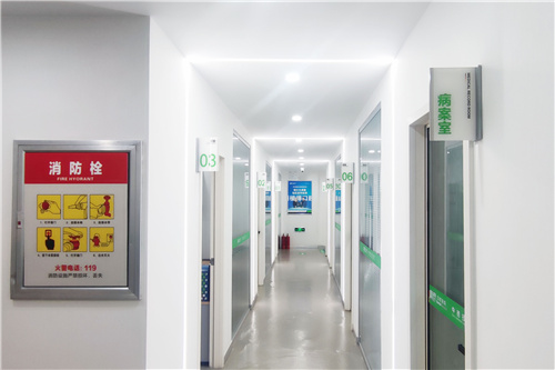 焦作植得口腔走廊