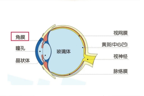 在线盘点:2024眼科收费价格表!眼科检查,近视手术,角膜塑形镜,视网膜病变收费标准奉上~