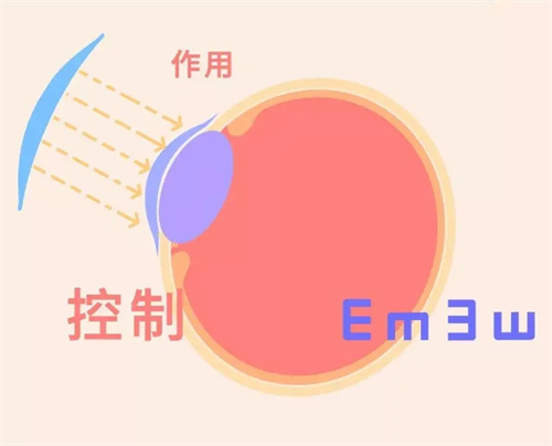 艾康菲ok镜作用