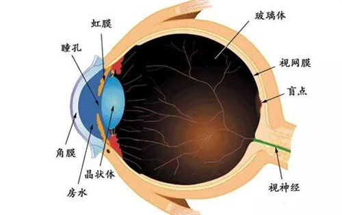 青海正规眼科医院价格表:ICL晶体植入手术2.5W元起,白内障手术1.5W元起