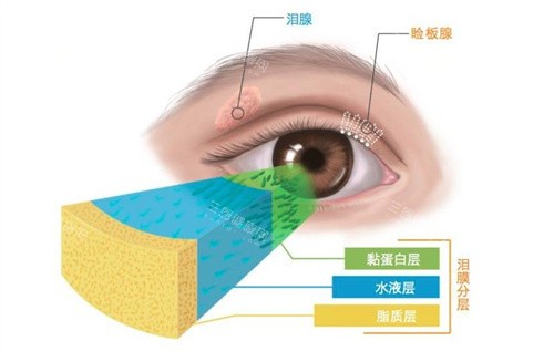 苏州光明眼科2025价格一览：半飞秒15800+超声乳化白内障手术6600+普诺瞳OK镜6000+