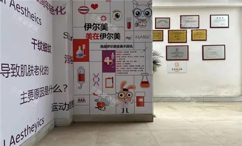 凯里伊尔美医疗美容展示墙