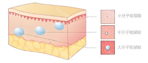 玻尿酸大小分子 玻尿酸大小分子