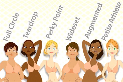 不同类型的胸 不同类型的胸