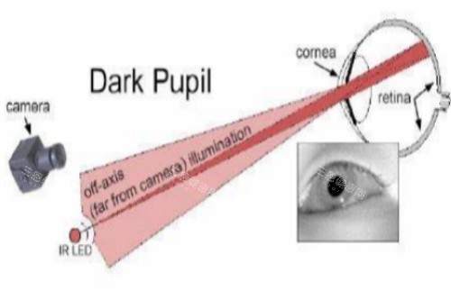 暗瞳示意图 暗瞳示意图