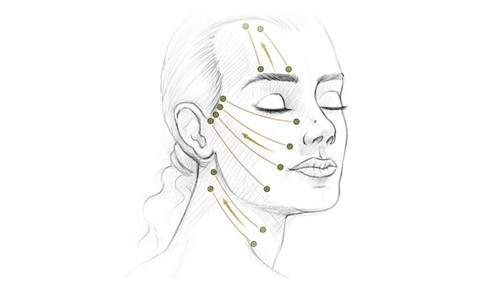 面部提升术的提升角度