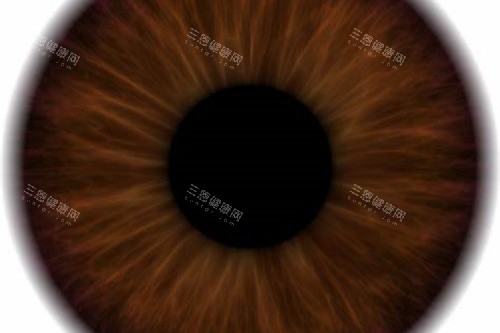 暗瞳