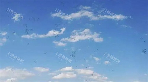 飞蚊症的视野
