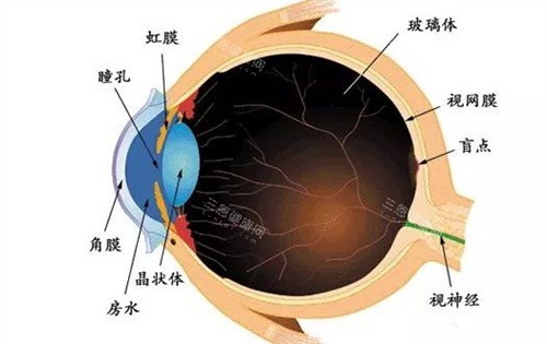 昆明红十字会眼科医院哪个医生看的好?医生名单全攻略与预约就诊流程免费查看！