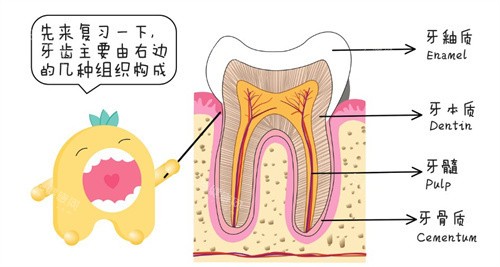 牙科咨询：固原舒康口腔内部资料曝光：地址、简介、医生技术优势、特色项目等！