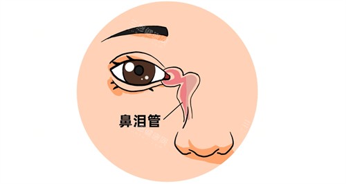泪道阻塞常规堵塞的位置