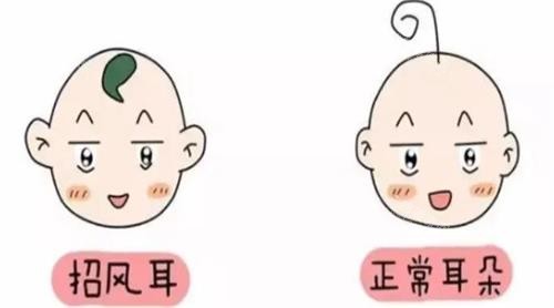 耳朵对比