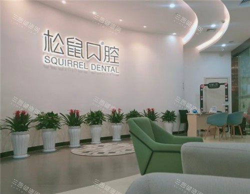 昆明松鼠口腔环境展示图