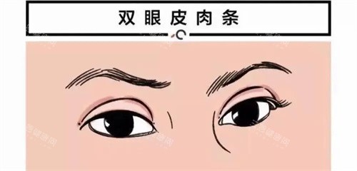 大连爱德丽格医生介绍 | 金刀奖刘志刚领衔，王香平/何明达等眼鼻修复&脂肪填充天团​！