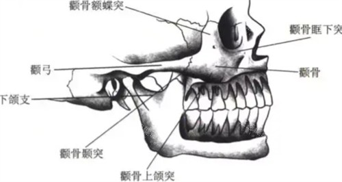 李继华磨骨怎么样？T字型截骨技术线条更流畅|一览技术特色和审美优势