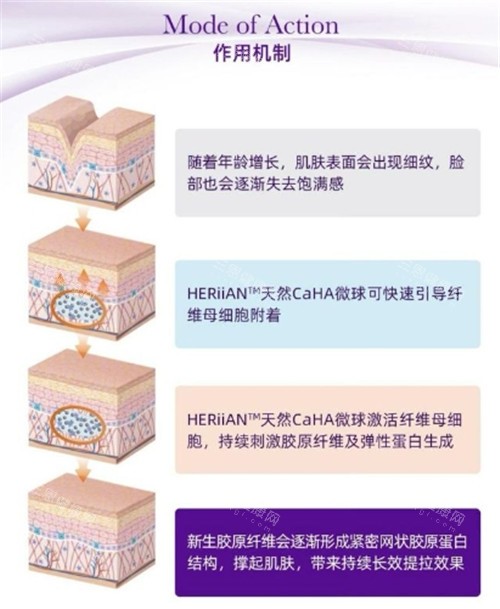 赫伊兰女神针作用机制