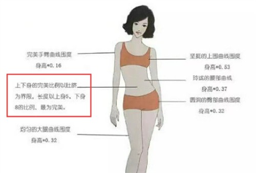肚脐眼形状影响美貌？竖着和圆的区别在哪？老牌医生对肚脐整形深度解析！