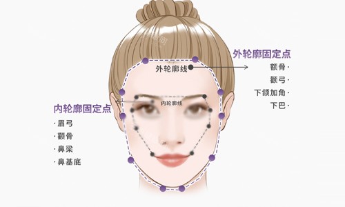 面部轮廓说明