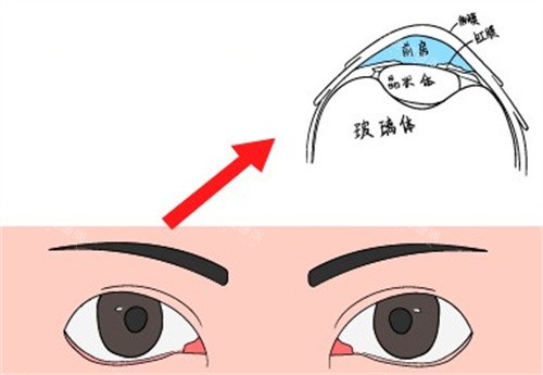重庆西南眼科医院电话号码公开，掌握这些预约方式，轻松搞定眼科检查与手术！