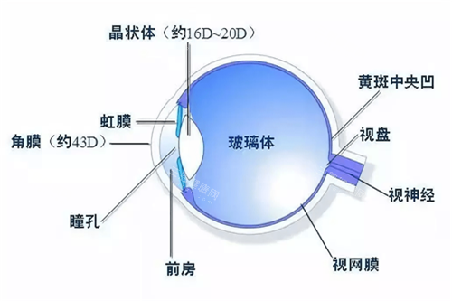 辽宁省眼科医院24小时在线，预约挂号+在线问诊，随时了解！