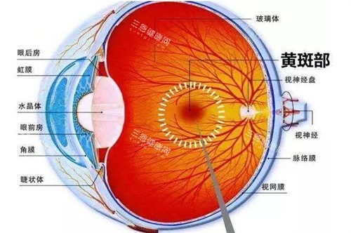 毓璜顶眼科哪个医生好？‌李元彬/刘淑君/闫桂刚/卓旭英等医生介绍